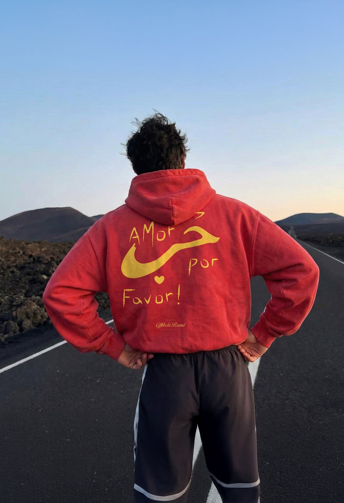 MAS AMOR FOR FAVOR x HUB' HOODIE in washed red